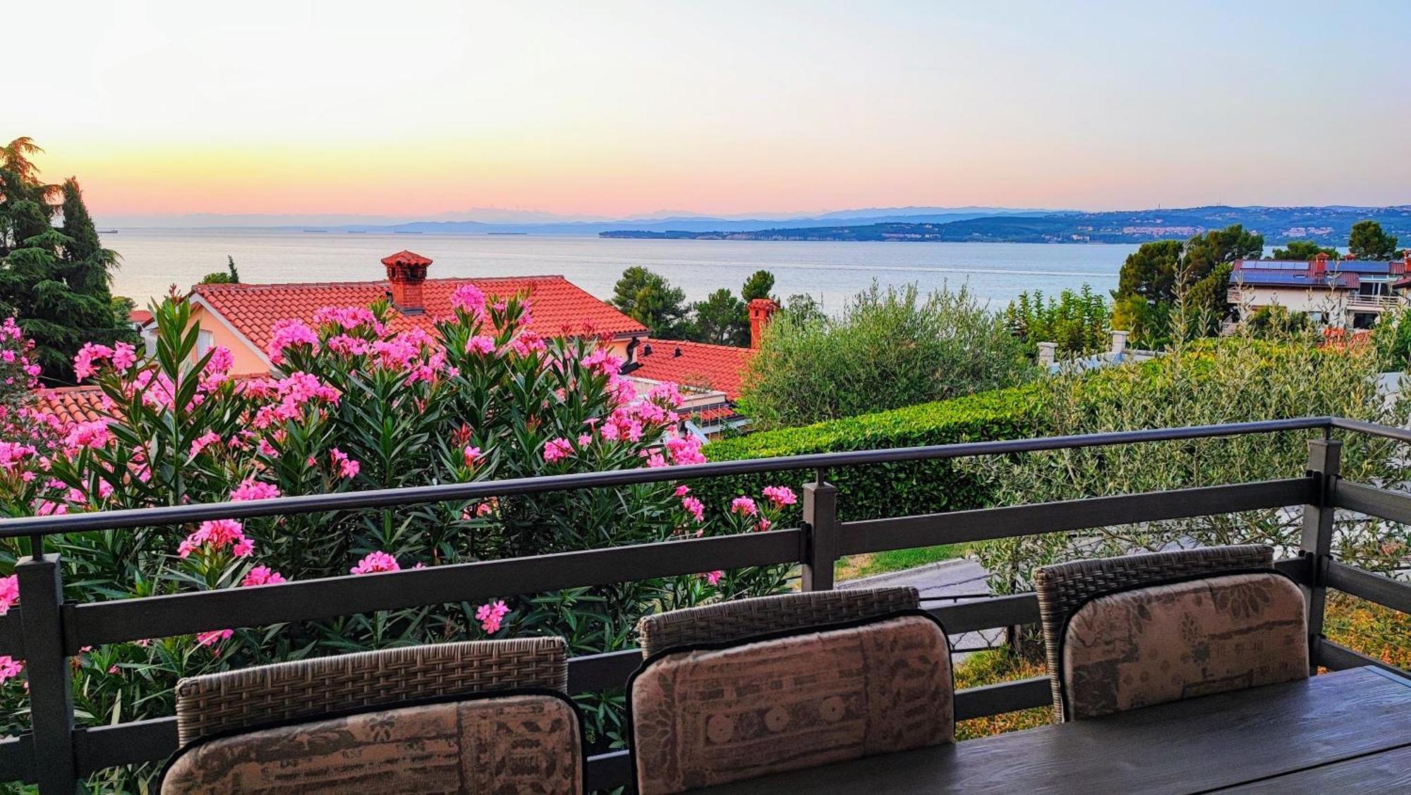 Bellavista Resort Κόπερ Εξωτερικό φωτογραφία